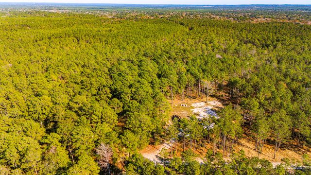 0313 King Ranch Road South, Onalaska, TX 77360