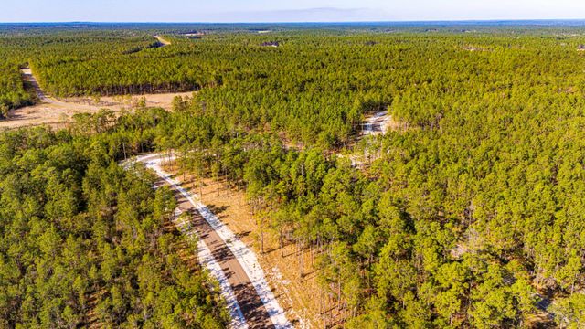 0313 King Ranch Road South, Onalaska, TX 77360
