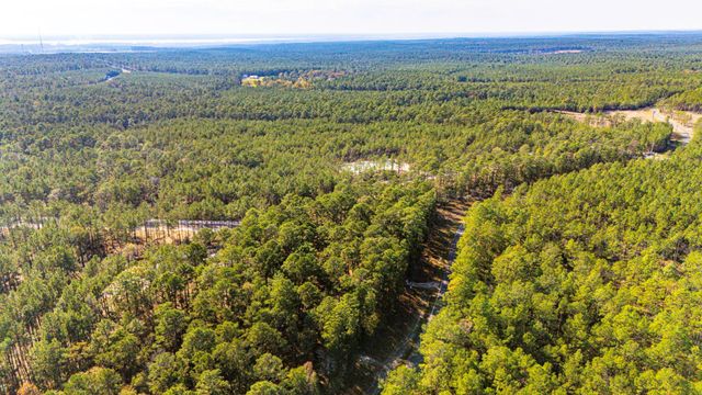 0313 King Ranch Road South, Onalaska, TX 77360