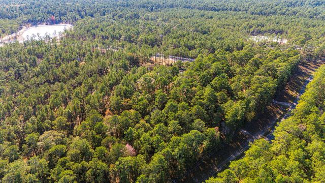 0313 King Ranch Road South, Onalaska, TX 77360