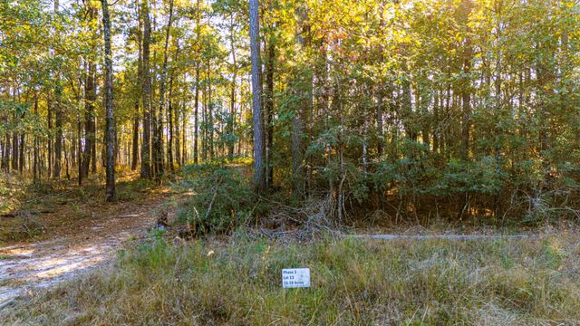 0313 King Ranch Road South, Onalaska, TX 77360