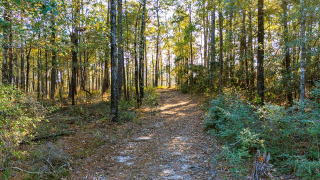 0313 King Ranch Road South, Onalaska, TX 77360
