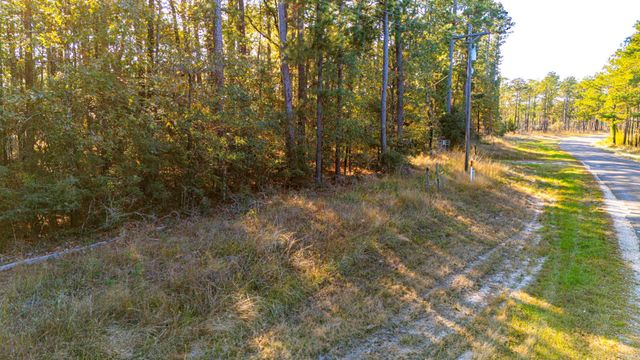 0313 King Ranch Road South, Onalaska, TX 77360