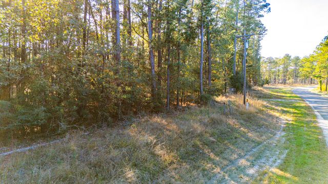0313 King Ranch Road South, Onalaska, TX 77360