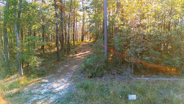 0313 King Ranch Road South, Onalaska, TX 77360