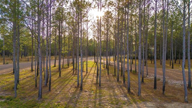 0313 King Ranch Road South, Onalaska, TX 77360