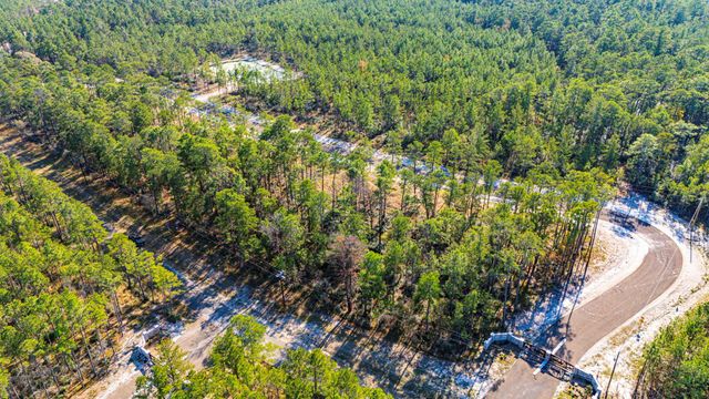 0313 King Ranch Road South, Onalaska, TX 77360