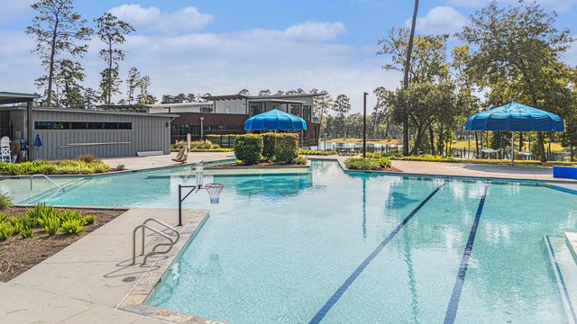 206 Liatris Court, Conroe, TX 77304