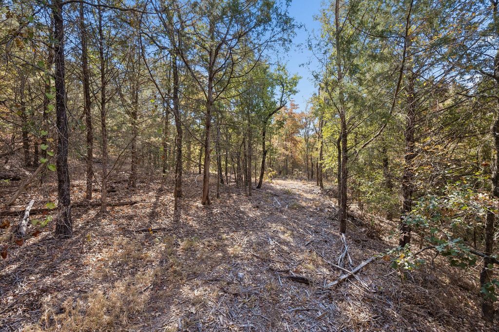2301 Moseley (Land) Road, Cross Roads, TX 76227 — photo 3