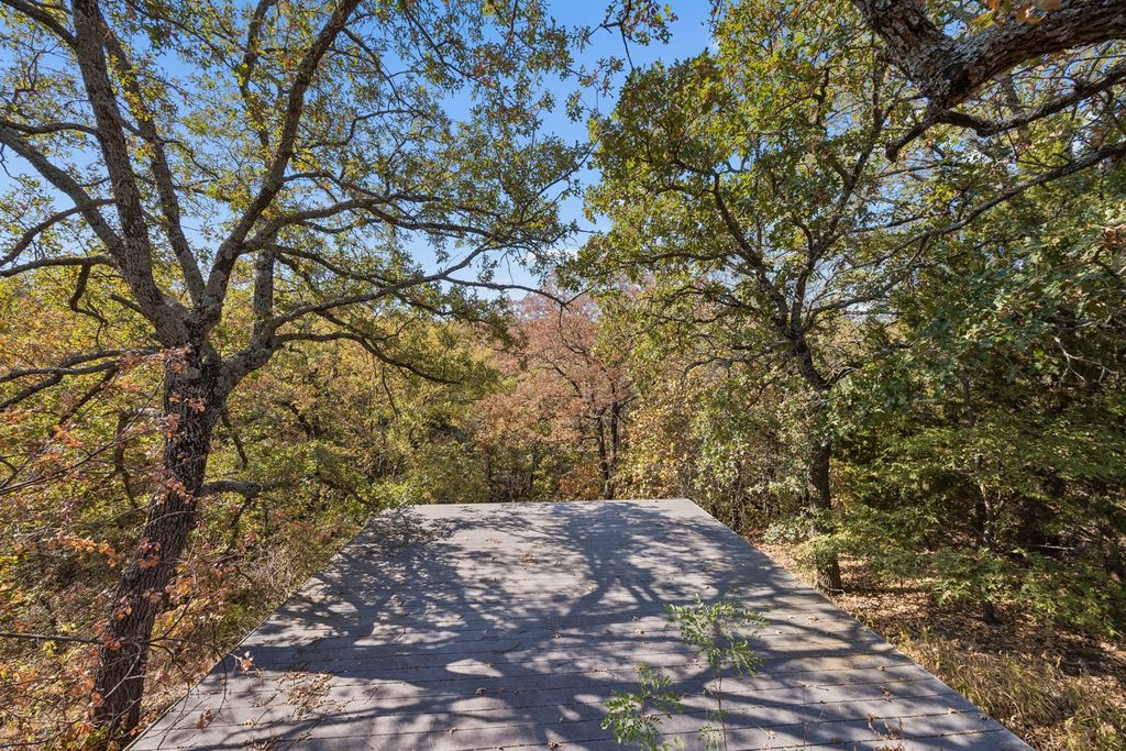 2301 Moseley (Land) Road, Cross Roads, TX 76227 — photo 4