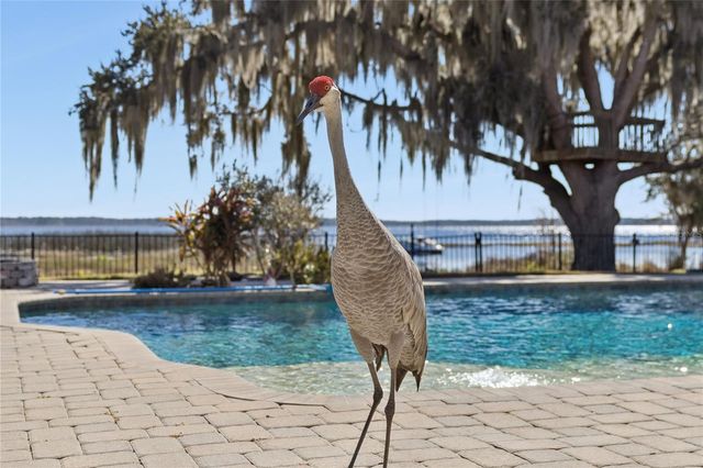 10327 HART BRANCH CIRCLE, Orlando, FL 32832