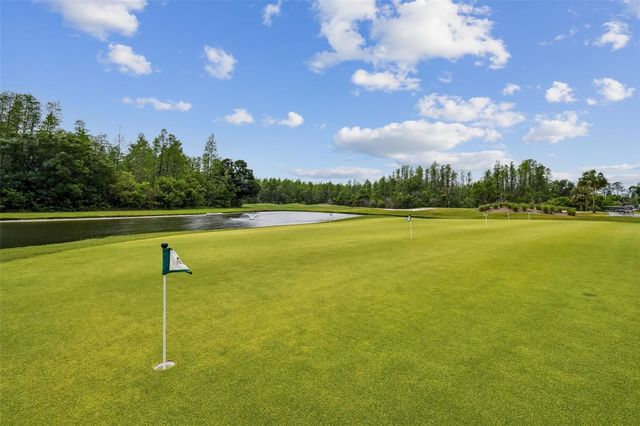 20930 JAFFA LANE, Land O Lakes, FL 34637