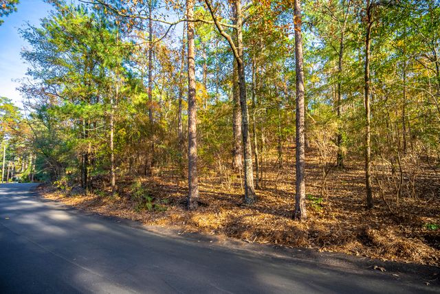 0 Forest Hill & East Rollingwood, Aiken, SC 29801