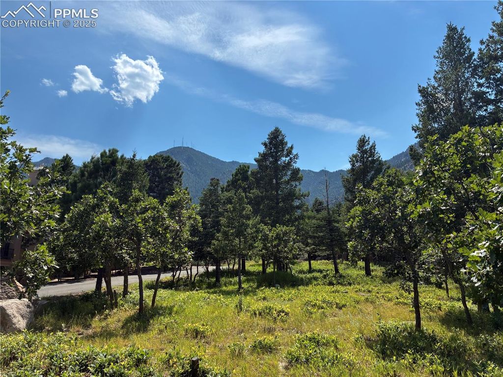 920 Grey Mountain Point, Colorado Springs, CO 80906 — exterior