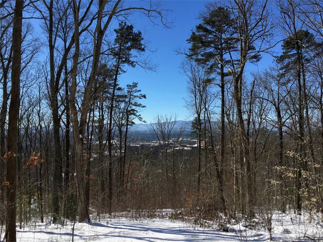 28 Samuel Ashe Drive, Asheville, NC 28805