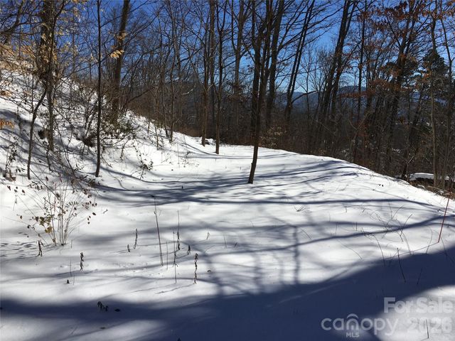 28 Samuel Ashe Drive, Asheville, NC 28805