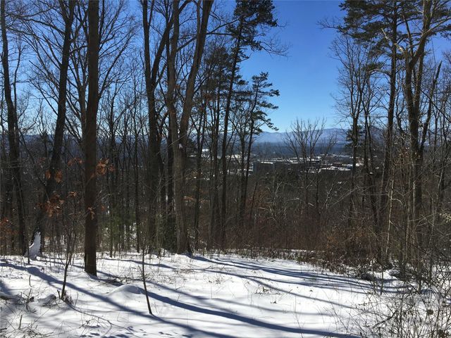 28 Samuel Ashe Drive, Asheville, NC 28805