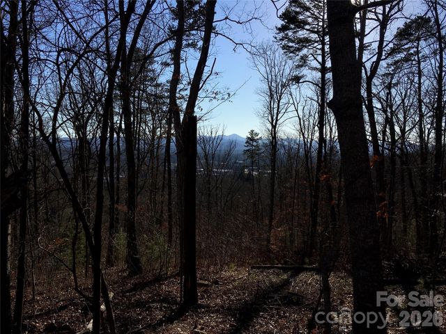 28 Samuel Ashe Drive, Asheville, NC 28805