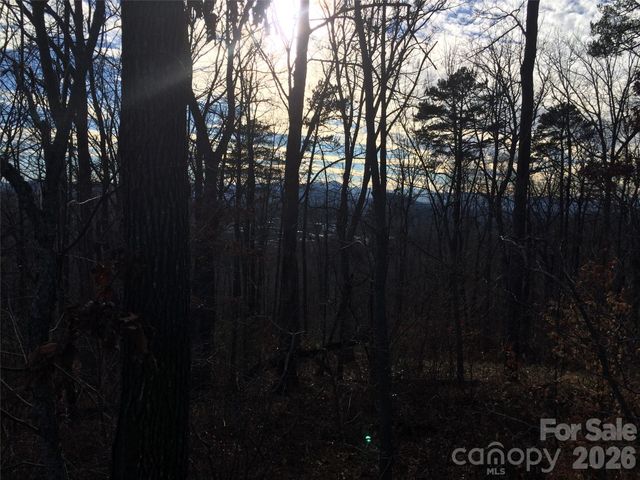 28 Samuel Ashe Drive, Asheville, NC 28805