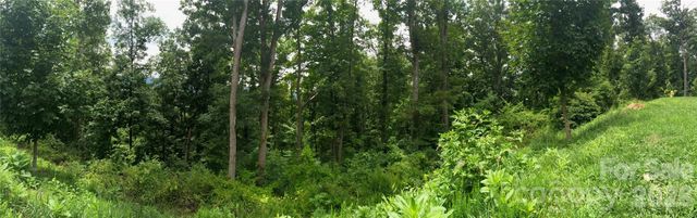 28 Samuel Ashe Drive, Asheville, NC 28805