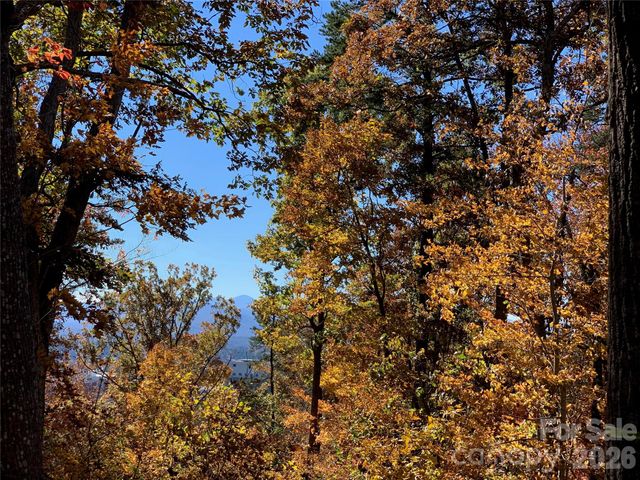 28 Samuel Ashe Drive, Asheville, NC 28805