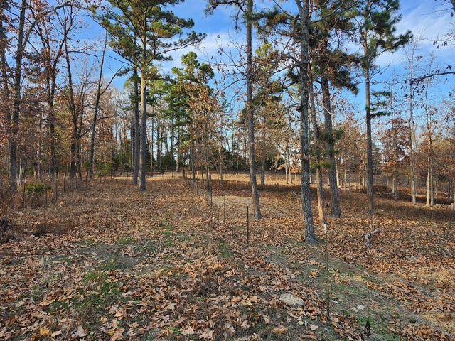 43565 St Highway 181-Pvt Dr-B, Vanzant, MO 65768