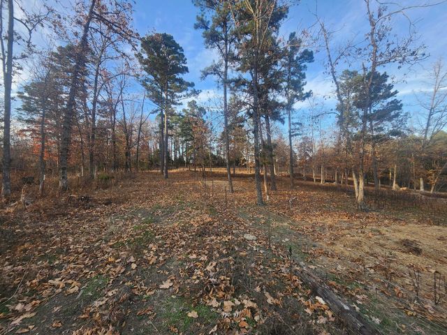 43565 St Highway 181-Pvt Dr-B, Vanzant, MO 65768