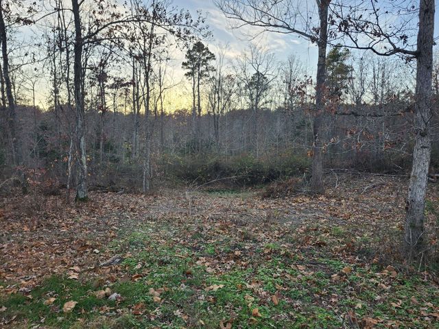 43565 St Highway 181-Pvt Dr-B, Vanzant, MO 65768