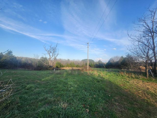 43565 St Highway 181-Pvt Dr-B, Vanzant, MO 65768