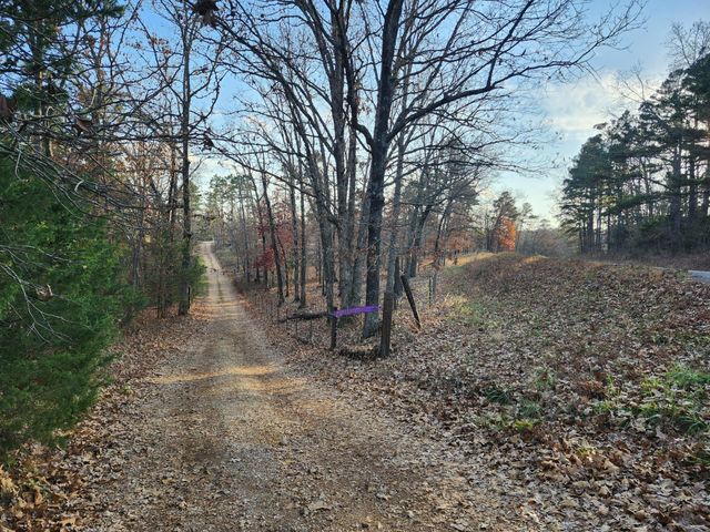 43565 St Highway 181-Pvt Dr-B, Vanzant, MO 65768