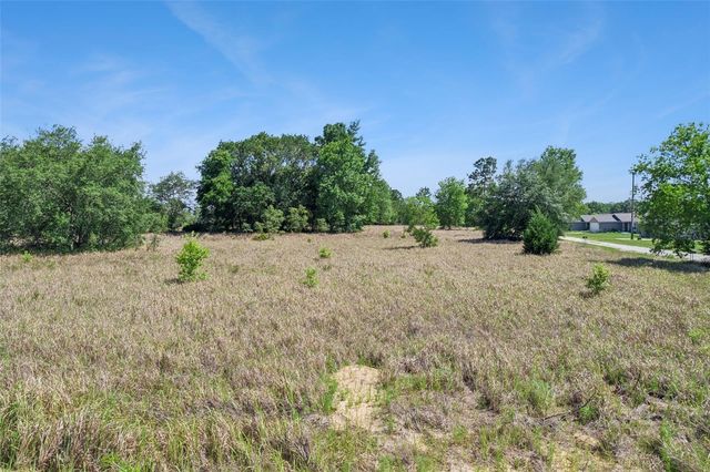 SW 149TH CT, Ocala, FL 34481
