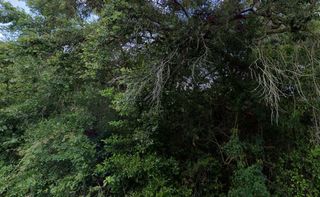 3288/3302 E ALISA LANE, Inverness, FL 34453