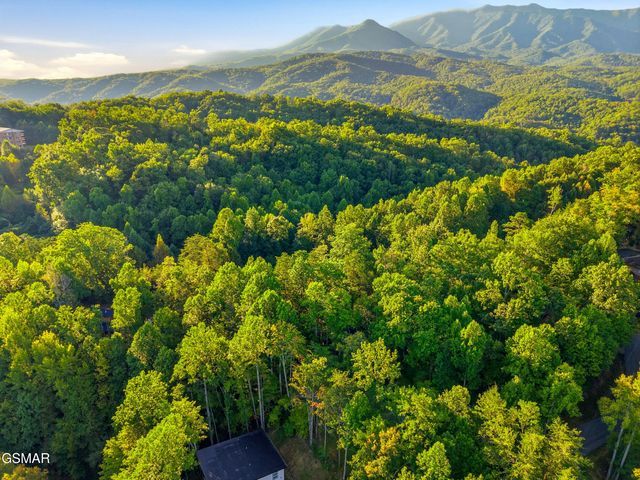 507 Eagle Trail, Gatlinburg, TN 37738