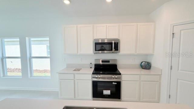 287 PUMA LOOP, Groveland, FL 34736