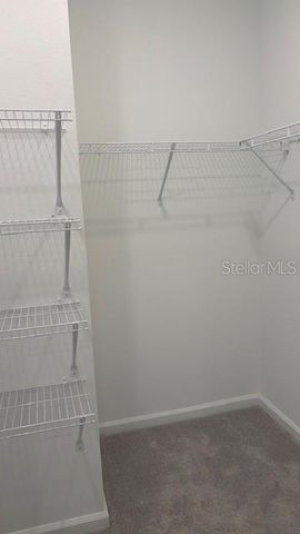 287 PUMA LOOP, Groveland, FL 34736