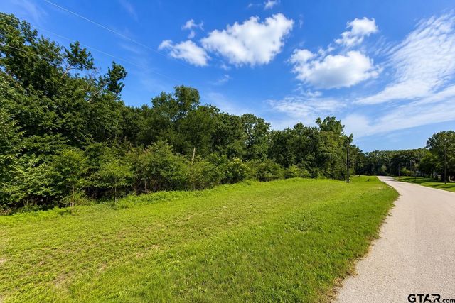 3234 Shadow Pine Drive, Larue, TX 75770