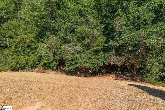 482 Pleasant Green Drive, Inman, SC 29349