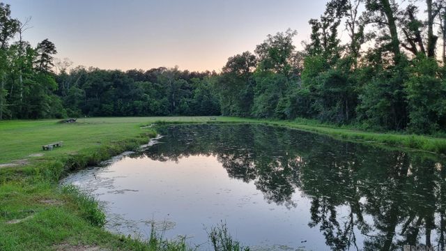 19397 La Hwy 42, Livingston, LA 70754