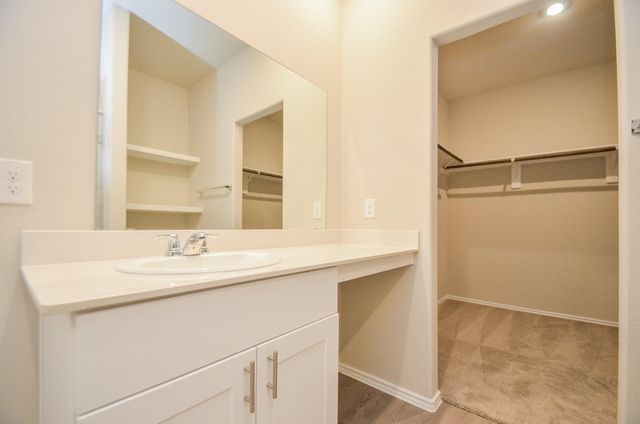 25513 Blossom Court, Montgomery, TX 77316