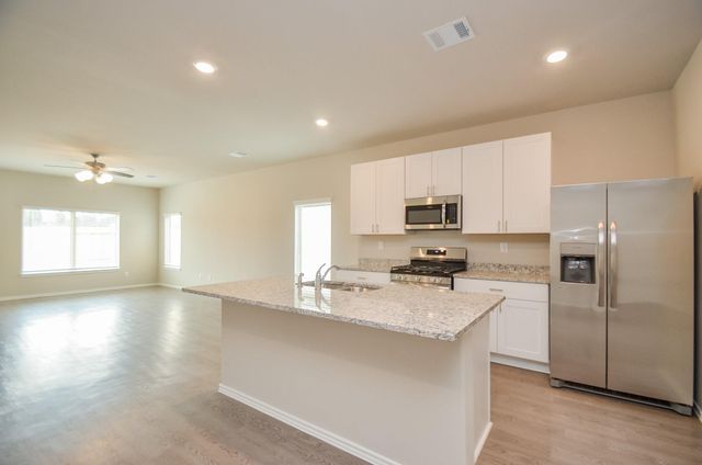 25513 Blossom Court, Montgomery, TX 77316