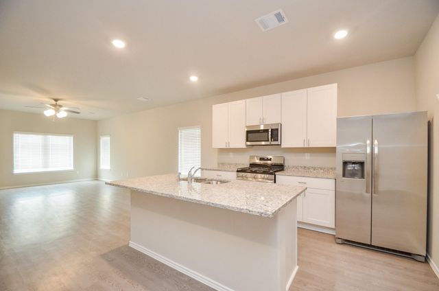 25513 Blossom Court, Montgomery, TX 77316