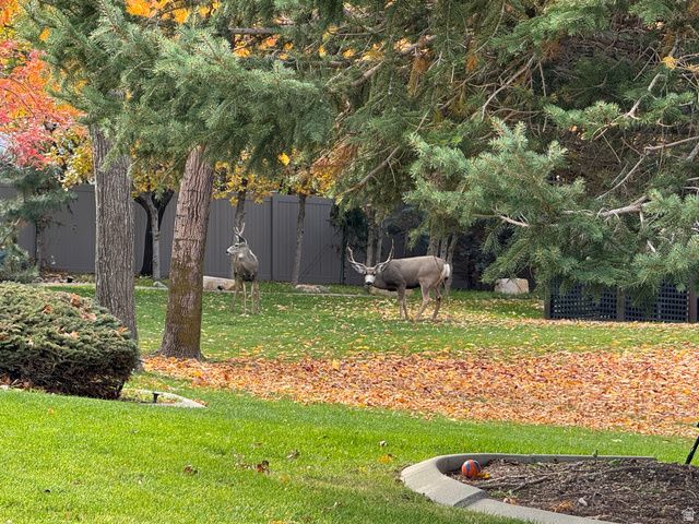 2066 E TIVOLI CT, Draper, UT 84020