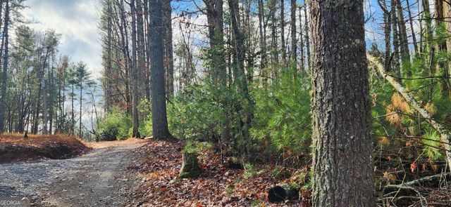 3 LOTS Ridgecrest Drive 76,78,80, Blue Ridge, GA 30513