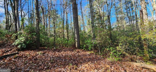 3 LOTS Ridgecrest Drive 76,78,80, Blue Ridge, GA 30513