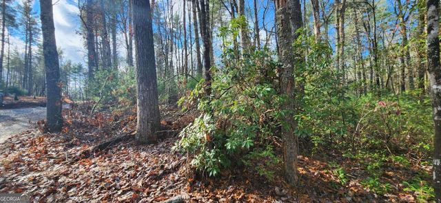 3 LOTS Ridgecrest Drive 76,78,80, Blue Ridge, GA 30513