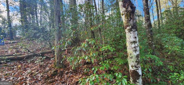 3 LOTS Ridgecrest Drive 76,78,80, Blue Ridge, GA 30513