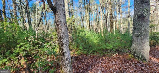 3 LOTS Ridgecrest Drive 76,78,80, Blue Ridge, GA 30513