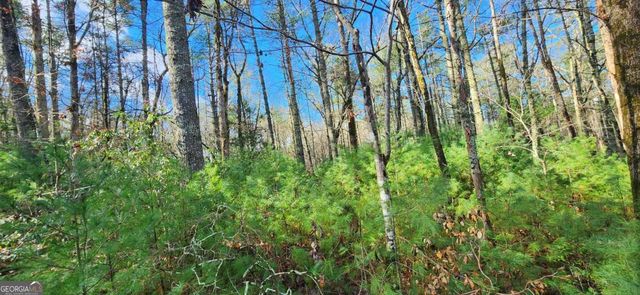 3 LOTS Ridgecrest Drive 76,78,80, Blue Ridge, GA 30513