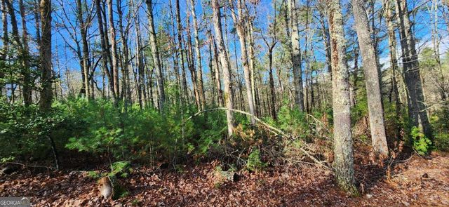 3 LOTS Ridgecrest Drive 76,78,80, Blue Ridge, GA 30513