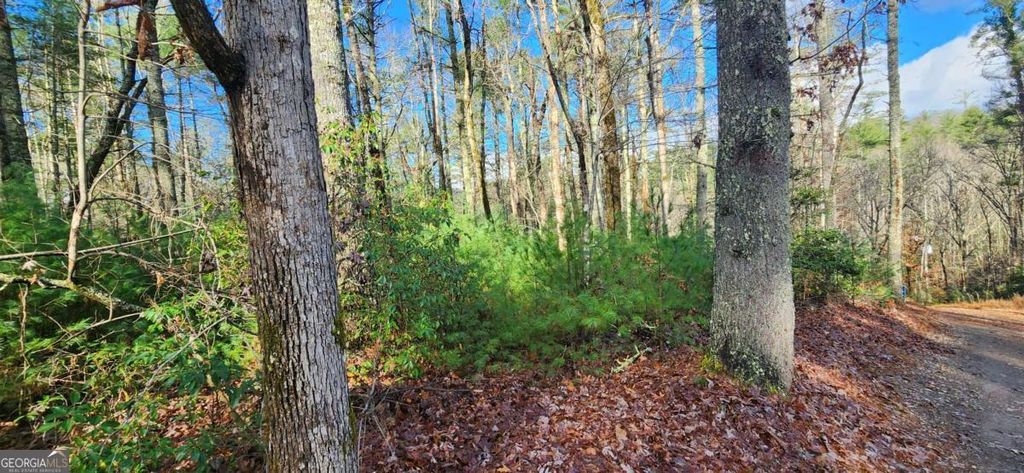 3 LOTS Ridgecrest Drive 76,78,80, Blue Ridge, GA 30513